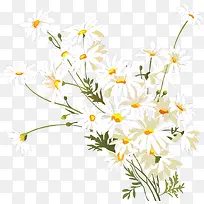 �����ز�װ��-������