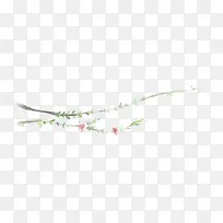 情人节梅花树枝-空若网 情人节梅花树枝-空若网