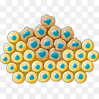 调节性t细胞癌细胞毒性t细胞癌-空若网 调节性t细胞癌细胞毒性t细胞癌-空若网