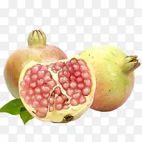 石榴-空若网 石榴-空若网