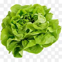 蔬菜简图-空若网 蔬菜简图-空若网