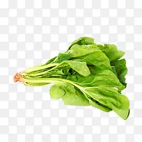 绿色蔬菜-空若网 绿色蔬菜-空若网