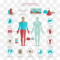 矢量人器官-空若网 矢量人器官-空若网