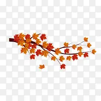 ������֦-������