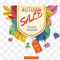 ��ɫ��Ҷ���ۺ���-������