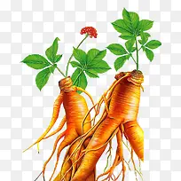 �ֻ��˲�-������