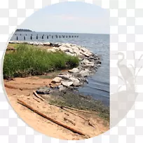 2018年奥迪a6流修复公司InvisionBoatworks有限责任公司-自然环境-空若网 2018年奥迪a6流修复公司InvisionBoatworks有限责任公司-自然环境-空若网