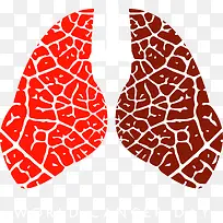 世界癌症日宣传-空若网 世界癌症日宣传-空若网