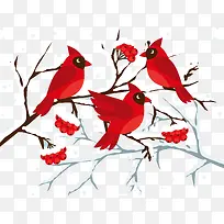 ������ѩ��֦С��ͨ�ز�-������