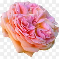 ʸ�������ز�װ�ο�ͨ-������