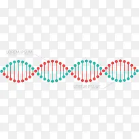 基因序列信息表-空若网 基因序列信息表-空若网