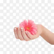 手部-空若网 手部-空若网