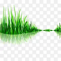 小草-空若网 小草-空若网