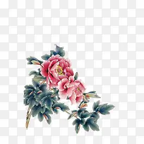 可爱华贵牡丹设计-空若网 可爱华贵牡丹设计-空若网