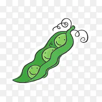 矢量手绘植物豆瓣-空若网 矢量手绘植物豆瓣-空若网