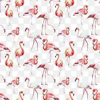 Ë®²Ê»ðÁÒÄñÎÞ·ì±³¾°Ê¸Á¿Í¼-¿ÕÈôÍø Ë®²Ê»ðÁÒÄñÎÞ·ì±³¾°Ê¸Á¿Í¼-¿ÕÈôÍø