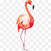 水彩火烈鸟-空若网 水彩火烈鸟-空若网