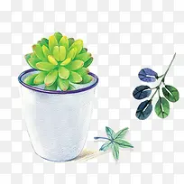 卡通手绘植物多肉-空若网 卡通手绘植物多肉-空若网