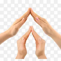 ���ƶ���-������