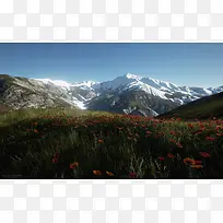 ������Ӱѩɽ���-������