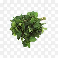 ±¡ºÉÃâ¿Ùͼ°¸-¿ÕÈôÍø ±¡ºÉÃâ¿Ùͼ°¸-¿ÕÈôÍø