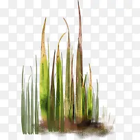 野草图片素材-空若网 野草图片素材-空若网