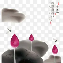 荷花-空若网 荷花-空若网