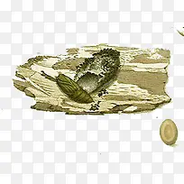 蝴蝶-空若网 蝴蝶-空若网