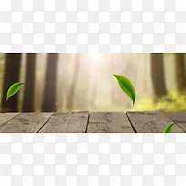摄影海报地板树木树叶-空若网 摄影海报地板树木树叶-空若网
