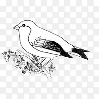 手绘麻雀-空若网 手绘麻雀-空若网