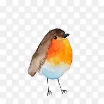 �ɰ���ȸ-������