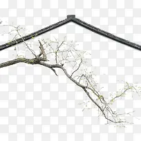 小瓦房顶的枯树枝发芽了-空若网 小瓦房顶的枯树枝发芽了-空若网