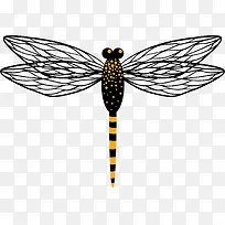 蜻蜓矢量卡通昆虫标本-空若网 蜻蜓矢量卡通昆虫标本-空若网