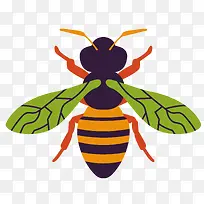 绿色翅膀矢量蜜蜂标本-空若网 绿色翅膀矢量蜜蜂标本-空若网
