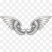 ʸ���ڰ�Ч������ĳ��-������