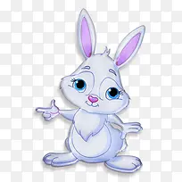 可爱小白兔-空若网 可爱小白兔-空若网