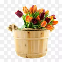 郁金香花束-空若网 郁金香花束-空若网