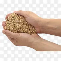 手捧-空若网 手捧-空若网