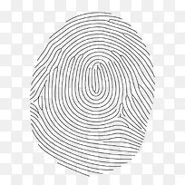 指纹-空若网 指纹-空若网