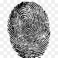 ָ��-������