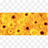 ������Ӱ����-������