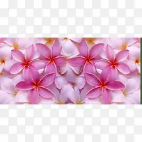 ������Ӱ����-������