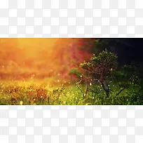 唯美摄影背景-空若网 唯美摄影背景-空若网