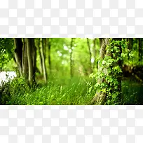 微距摄影背景-空若网 微距摄影背景-空若网