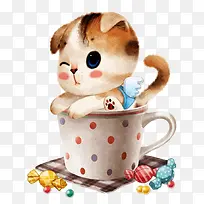 杯子里的猫咪-空若网 杯子里的猫咪-空若网
