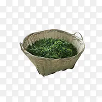 草编普洱茶-空若网 草编普洱茶-空若网