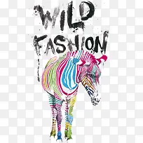 斑马-空若网 斑马-空若网