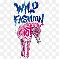 斑马-空若网 斑马-空若网