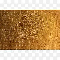 鳄鱼皮背景-空若网 鳄鱼皮背景-空若网