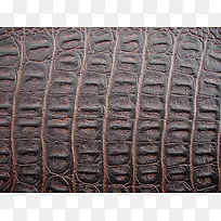 ����Ƥ���ʱ���-������